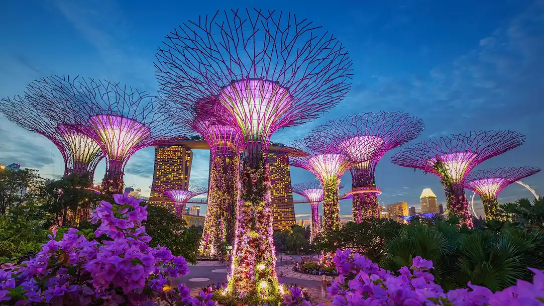 Gardens & Nature Tour
