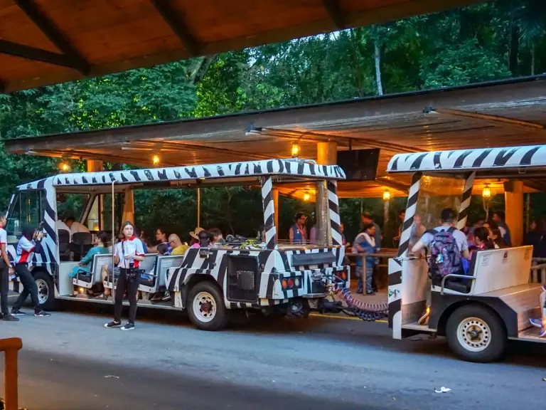Singapore Night Safari - Best Wildlife Experience
